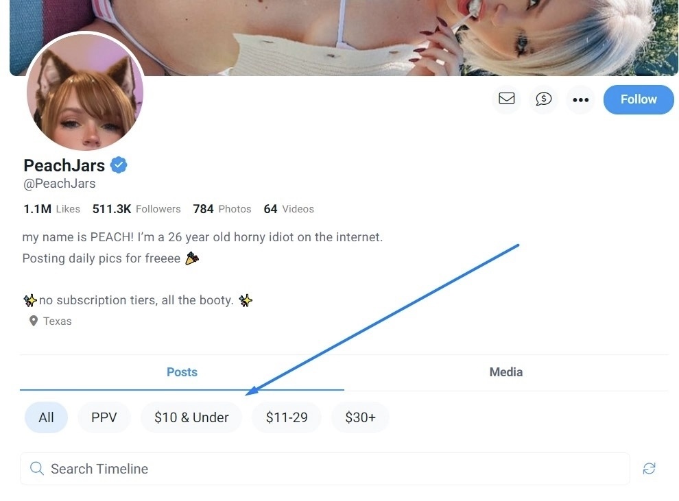 image from article How and how much you can earn on the Fansly platform today: experienced models tell 28